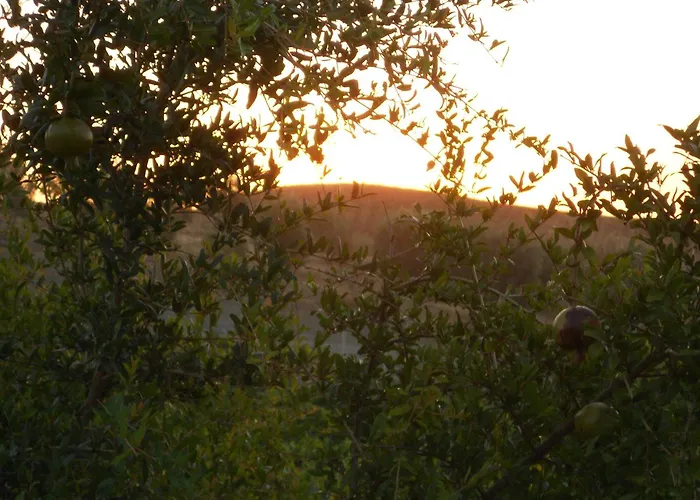 Fattoria San Sebastiano Alojamento de Turismo Rural Strongoli